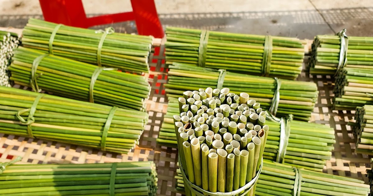 Nguyên Liệu Ống Hút Giấy: Lựa Chọn Thông Minh Cho Sức Khỏe Môi Trường