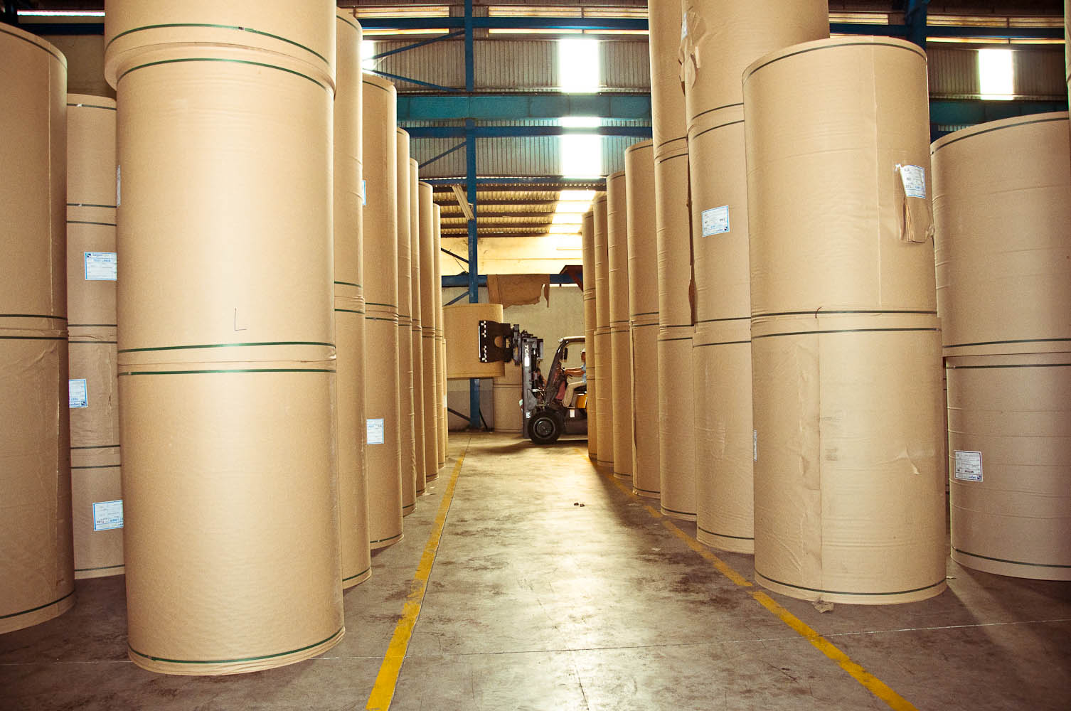 Công ty sản xuất ống giấy xuất khẩu Xu hướng và cơ hội