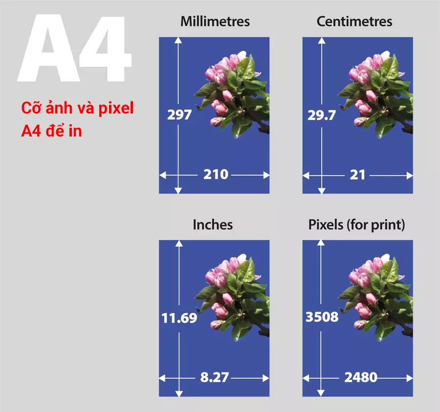 Giấy A4 Định nghĩa và Đặc điểm