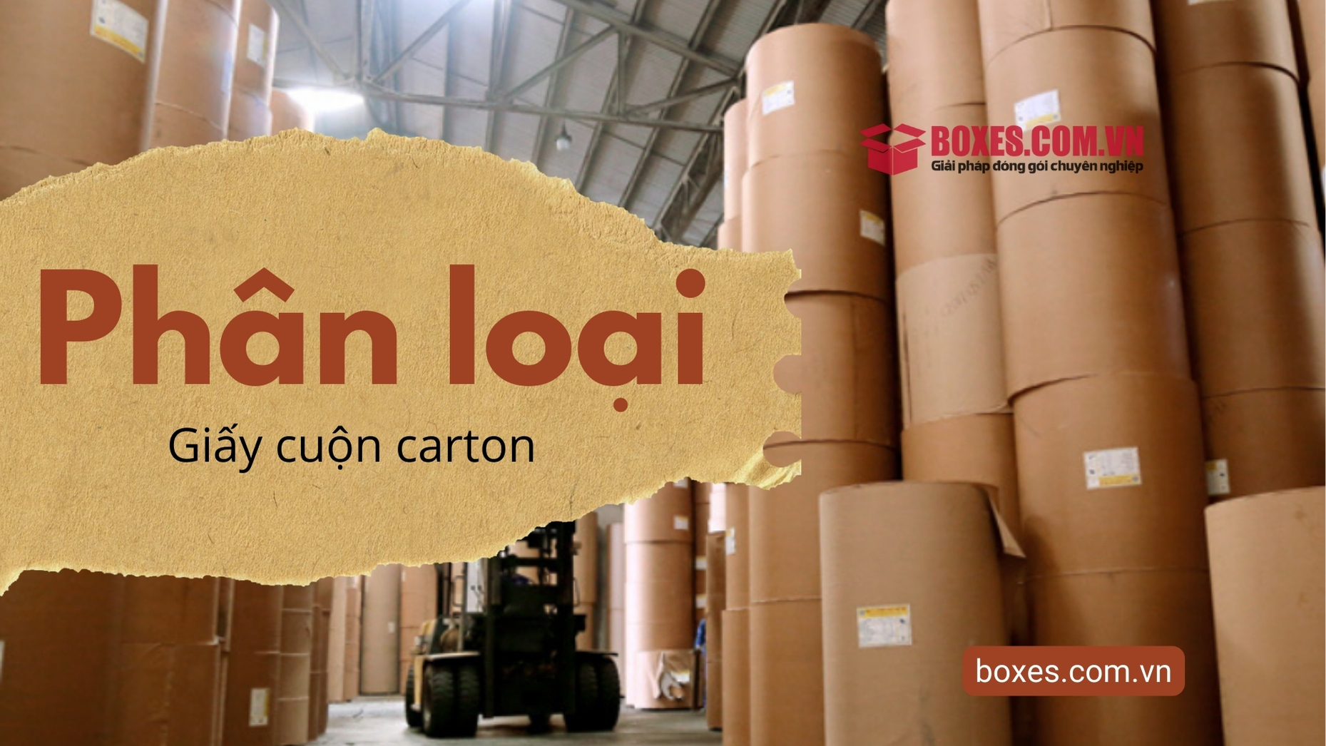 Giấy cuộn là gì Khái niệm và ứng dụng